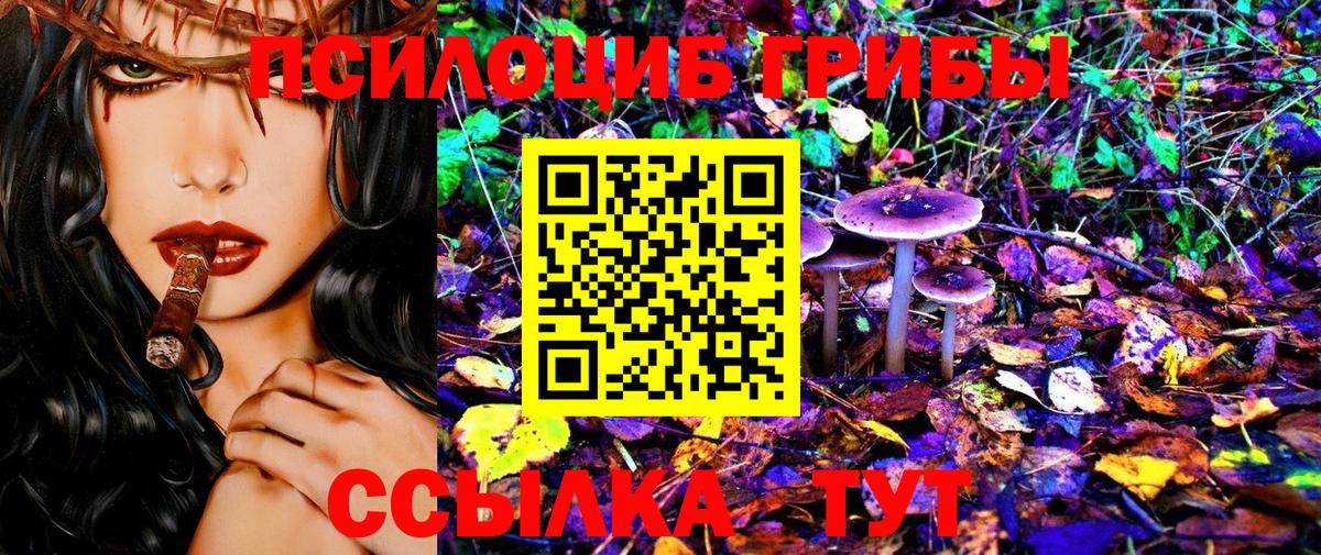 где купить   Псилоцибиновые грибы ЛСД  Псилоцибиновые грибы Psilocybine cubensis  Вход с VPN  Железногорск 