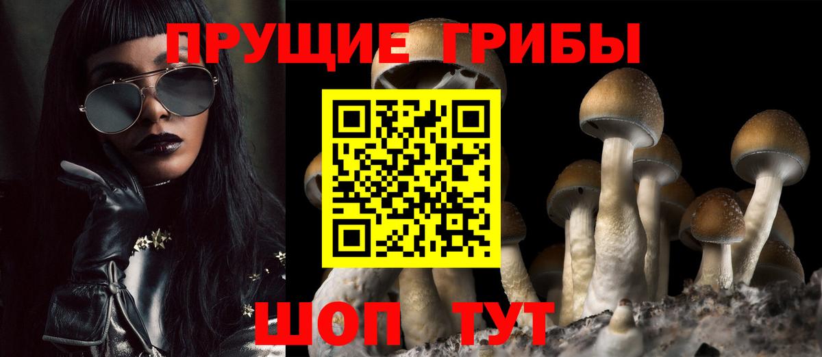 Псилоцибиновые грибы Cubensis Железногорск